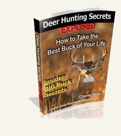deer hunting secrets ebook picture and link