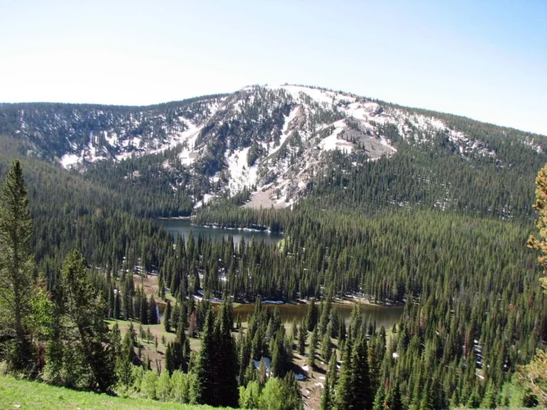 battlemtn