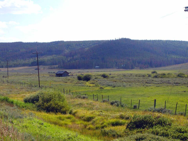 plattevalley