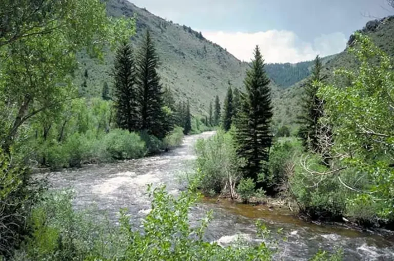 woodslanding