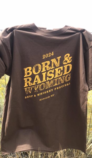 tshirt2